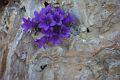 pusteria2003_17