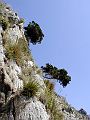 sperlonga_pm04_067