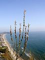 sperlonga_pm04_092