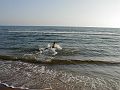 sperlonga_pm04_102