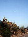 sperlonga_pm04_111