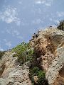 14_ripa65