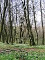 28_soriano37