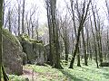 28_soriano38