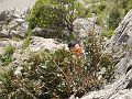 08_sperlonga053