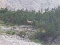 pusteria2005_055