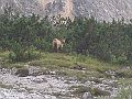 pusteria2005_056