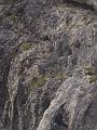 pusteria2005_068