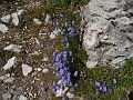 pusteria2005_115