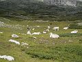 12_sebastiani02