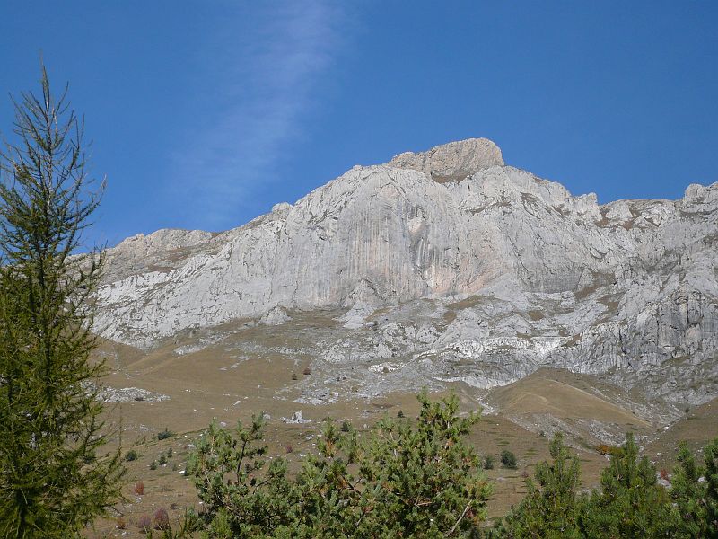 12_upega022.jpg