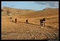 10_campofelice19