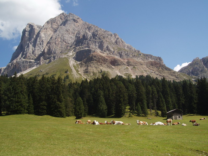 pusteria070.jpg