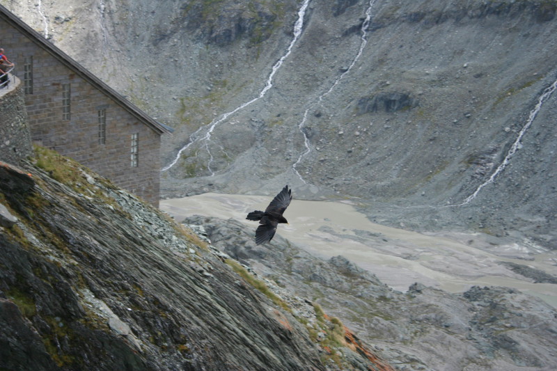 pusteria015.JPG