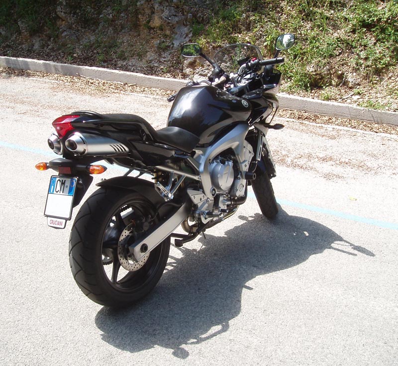 jenne02m.jpg
